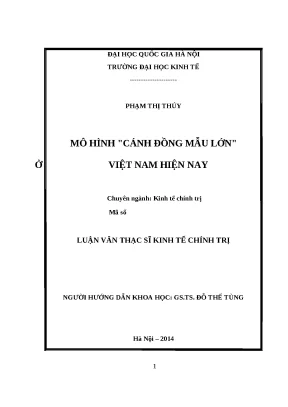 Mô Hình Cánh Đồng Mẫu Lớn Ở Việt Nam: Hiện Trạng Và