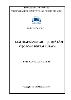 Luận văn: Giải pháp nâng cao hiệu quả làm việc đồng đội