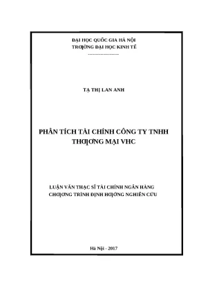 Luận văn thạc sĩ ueb phân tích tài chính công ty tnhh thương mại vhc