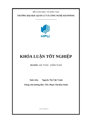 Hoàn thiện kế toán thanh toán tại công ty TNHH Nesol