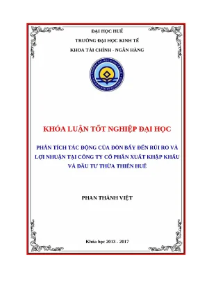 Tác động của đòn bẩy đến rủi ro và lợi nhuận tại Công ty
