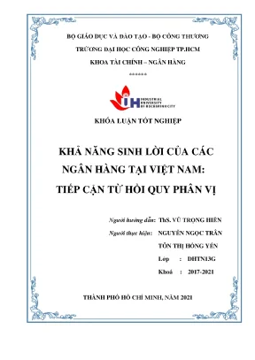 Phân Tích Khả Năng Sinh Lời Ngân Hàng Việt Nam Qua Hồi