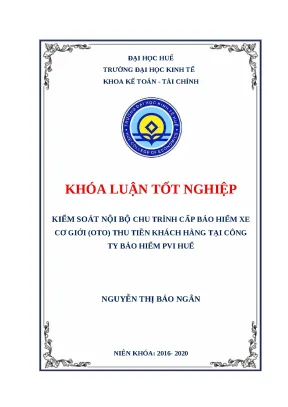 Kiểm soát nội bộ chu trình bảo hiểm xe cơ giới PVI Huế