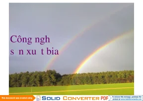 Công Nghệ Sản Xuất Bia: Quy Trình và Nguyên Liệu Cơ Bản