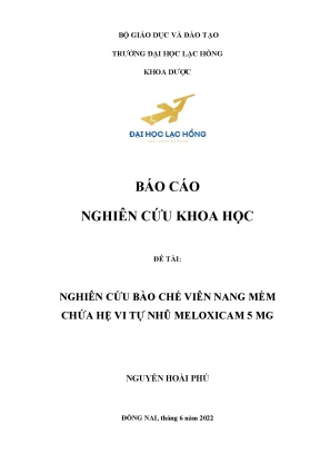 Nghiên cứu viên nang mềm chứa Meloxicam 5mg với hệ vi tự nhũ