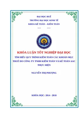Quy Trình Kiểm Toán Thuế Tại Công Ty TNHH Kiểm Toán Và