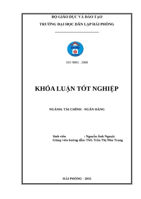 Giải pháp nâng cao hiệu quả sử dụng vốn tại Vilaco