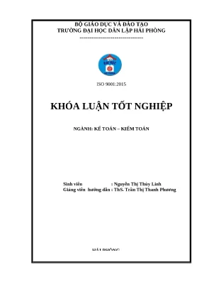 Cải Thiện Kế Toán Thanh Toán Tại Công Ty TNHH Sơn Trường