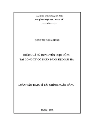 Nâng cao hiệu quả sử dụng vốn lưu động tại Công ty Cổ