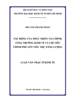 Luận văn thạc sĩ ueh tác động của phát triển tài chính tăng trưởng kinh tế và chi tiêu chính phủ lên tiêu thụ năng lượng