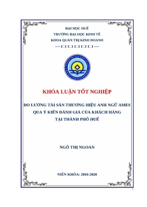 Đo Lường Tài Sản Thương Hiệu AMES Qua Ý Kiến Khách Hàng