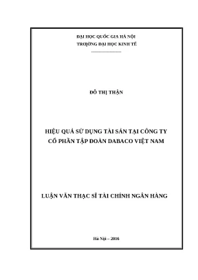 Phân tích hiệu quả sử dụng tài sản tại Dabaco