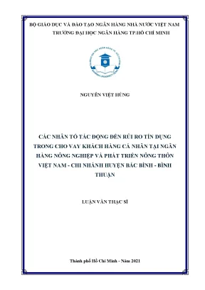 Nhân Tố Ảnh Hưởng Đến Rủi Ro Tín Dụng Trong Cho Vay Cá