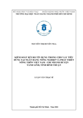 Kiểm Soát Rủi Ro Tín Dụng Trong Cho Vay Tiêu Dùng Tại