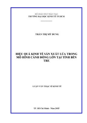 Hiệu Quả Kinh Tế Sản Xuất Lúa Tại Mô Hình Cánh Đồng Lớn