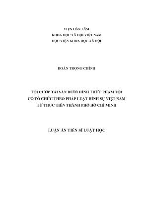 Phân Tích Tội Cướp Tài Sản Có Tổ Chức Tại TP.HCM Theo