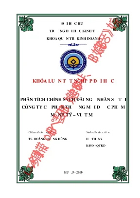 Đãi ngộ nhân sự tại Mạnh Tý Việt Mỹ: Phân tích & Giải pháp