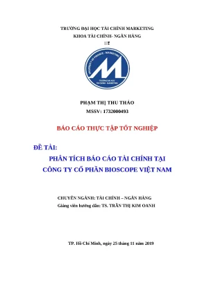 Phân Tích Báo Cáo Tài Chính Công Ty Bioscope Việt Nam