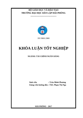 Phân Tích Tình Hình Tài Chính Công Ty Hoàng Nam Phát