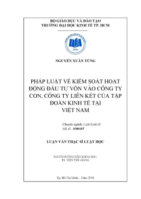 Kiểm Soát Đầu Tư Vốn Vào Công Ty Con và Liên Kết Tại