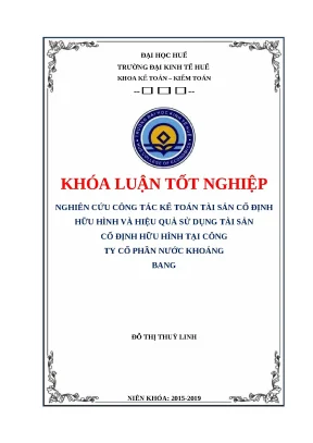 Khóa luận Kế toán TSCĐHH & Hiệu quả sử dụng tại Doanh nghiệp