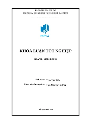 Mẫu khóa luận Marketing Online cho công ty Trường Hưng Thịnh