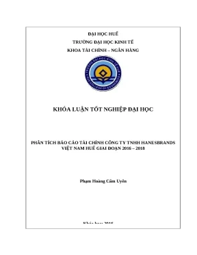 Phân Tích Báo Cáo Tài Chính Công Ty TNHH Hanesbrands