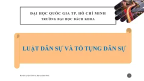Tìm Hiểu Về Pháp Luật Dân Sự Việt Nam