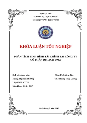 Khóa luận phân tích tài chính Công ty Cổ phần DMZ