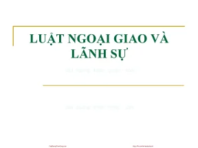 Khám Phá Luật Kinh Doanh Quốc Tế Tại Việt Nam