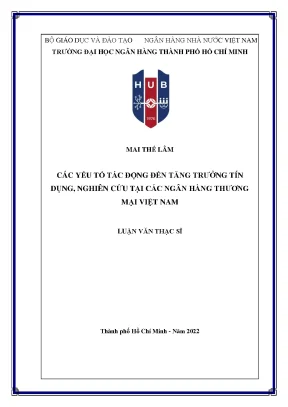 Tăng Trưởng Tín Dụng Ngân Hàng Thương Mại Việt Nam: Các