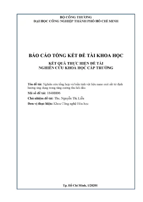 Nghiên cứu vật liệu nano oxit sắt từ trong thu hồi dầu