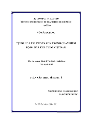 Tự Do Hóa Tài Khoản Vốn Ở Việt Nam: Nghiên Cứu Của Võ