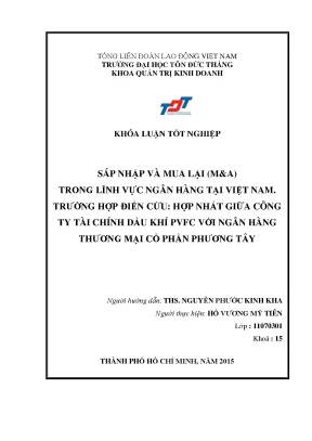 Phân Tích Hoạt Động M&A Trong Ngân Hàng Tại Việt Nam: