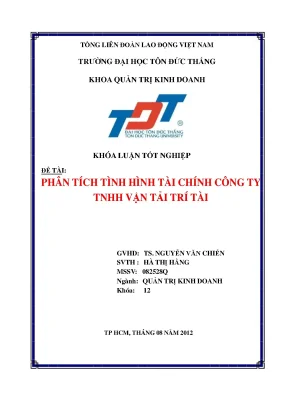 Phân Tích Tình Hình Tài Chính Công Ty TNHH Vận Tải Trí Tài