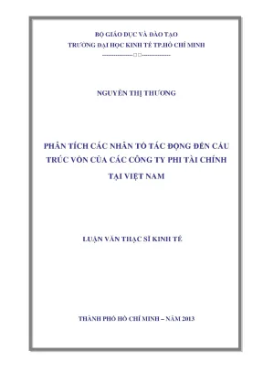 Luận văn cấu trúc vốn công ty phi tài chính Việt Nam