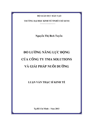 Đo lường năng lực động công ty TMA Solutions và giải