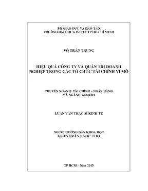 Hiệu quả công ty trong tài chính vi mô