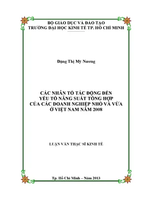 Nhân tố ảnh hưởng đến năng suất doanh nghiệp nhỏ Việt Nam