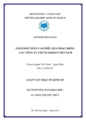 Giải pháp nâng cao hiệu quả công ty chứng khoán Việt Nam