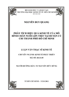 Phân Tích Hiệu Quả Kinh Tế Chăn Nuôi Lợn Tại Củ Chi