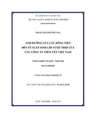 Ảnh hưởng của dòng tiền đến lợi nhuận công ty Việt Nam