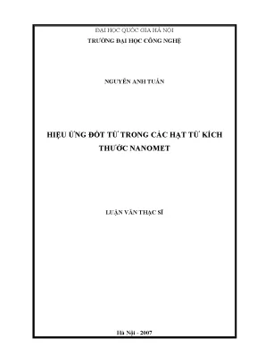 Hiệu Ứng Đốt Từ Hạt Nano: Luận Văn Thạc Sĩ