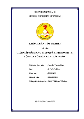 Giải pháp nâng cao hiệu quả kinh doanh Sao Thái Dương