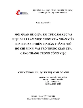 TTCX, Căng thẳng & Hiệu suất nhóm NV Kinh doanh HCM