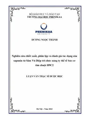 Saponin Sâm Vũ Diệp: Bảo vệ ty thể tế bào cơ tim