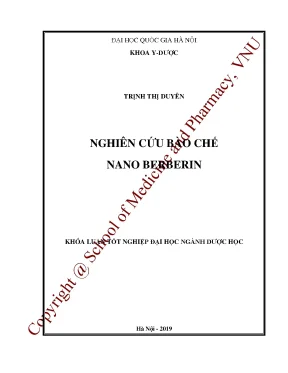 Nghiên cứu bào chế Nano Berberin: Quy trình & Kết quả
