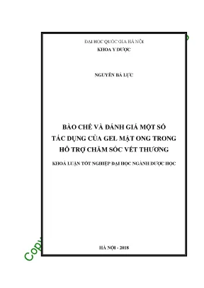 Bào chế và đánh giá một số tác dụng của