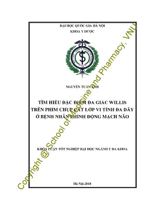 đặc điểm đa giác willis trên phim chụp