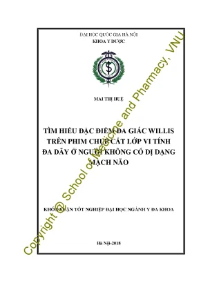 đặc điểm đa giác willis trên phim chụp
